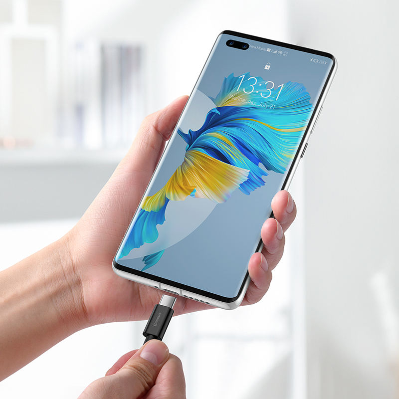 Baseus Superior Series Fast Charging Data Cable USB to Type-C 66W 2m